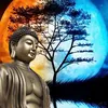 thuyan553