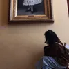 imdounia