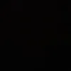 user231901q