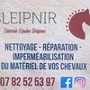 sleipnirlaverieequine