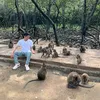 t.phongkim9x