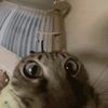 gpskfed
