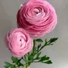 francimarsantos10