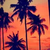 f_malik_12