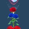 user43023256
