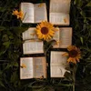 chapter_after_chapter