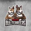 twocrazybullis