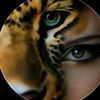 dollar_breno3