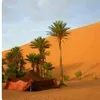 dohadohamorales