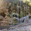 will_49619