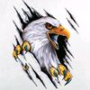 eagle__888