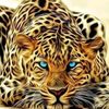 mr_hammad_h