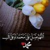 user19598266