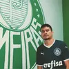 mateusfernandesss_