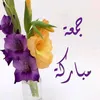 _ommohamed6