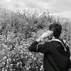 moha_mmad_2003