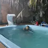 felpi2