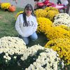 lavidade_lidia