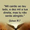 silmaraoliveira08