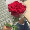 nicar100mar