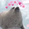 clap_seal