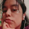 viri.viveros
