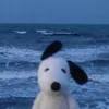 kais.z_