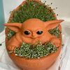 merrygnome