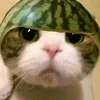 ichiocha_____