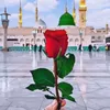 jehan_28