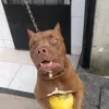 toinabencoado