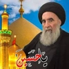 mortezaemirate1