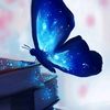 husaynuh_dib_7