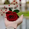 user94880473
