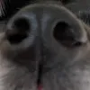 arthur_gdr12
