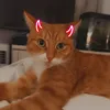 pepperandminty