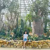thanhtam_900