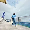 dulasdiary95