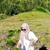andlupi