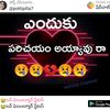 sunithasunitha442