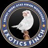 exotics_finch