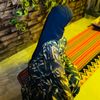 hana_tasneam1