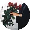 sh.m.q8