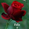 lauramata823