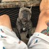 cooper.m.w