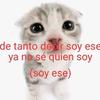 me_gustan_los_gatos123