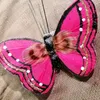 dile.creation
