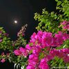 user92921772