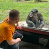 bigmike_1998
