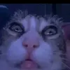 tkks223